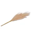 Faux Foliage Pampas - Bullseye's Playground™ 1 Faux Foliage Pampas - Bullseye's Playground™ -Bullseye Shop GUEST 365b02f0 c985 4cc1 8cb2 ea47fa40cff6