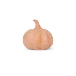 Small Terracotta Pumpkins Orange - Bullseye's Playground™ -Bullseye Shop GUEST a41d5fb9 9be1 45e9 953b 6b8af1f4f99e