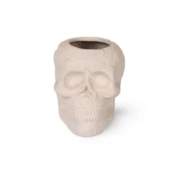 Terracotta Skull Vessels White - Bullseye's Playground™ 7 Terracotta Skull Vessels White - Bullseye's Playground™ -Bullseye Shop GUEST bde8d30d 7af7 41db 8f76 6eb4deab79f1