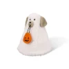 Plush Figurals Dog Pumpkin - Bullseye's Playground™ -Bullseye Shop GUEST f832df85 6968 497c a9b8 87a73fc58f08